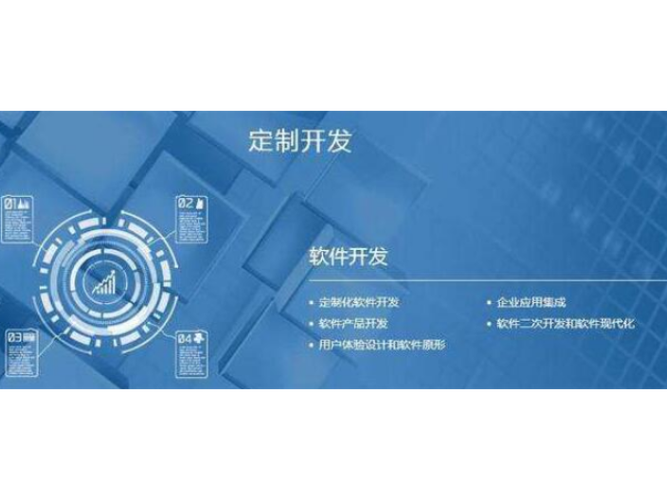 杭州大数据软件开发定做,软件开发